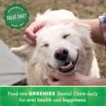 Greenies™ Adult Teenie Dog Dental Treats - Natural, Oral Health, Original - Image 9