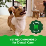 Greenies™ Adult Petite Dog Dental Treats - Natural, Oral Health, Original - Image 5