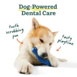 WOOF Bite n' Brush - Dental Toy for Dogs - Image 2
