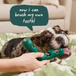WOOF Bite n' Brush Refills for Dogs, 16 Count - Image 5