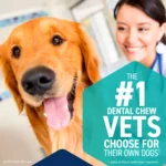 OraVet Dental Hygiene Chews for Dogs with Delmopinol - Dental Chews for Small Dogs 10-24 lbs - Image 3