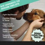 Pet Honesty Fresh Breath Dental Powder Supplement for Dogs, Mint Flavor, for Dogs Over 1 lb - Image 2