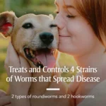 PetArmor® Sure Shot 2X Dewormer for Dogs - 2 Fl Oz - Image 3
