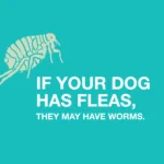 Elanco Tapeworm Dewormer Tablets for Dogs - Image 4