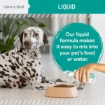 Chew + Heal Stop the Worms Liquid Roundworm Treatment for Puppies & Kittens - Image 3