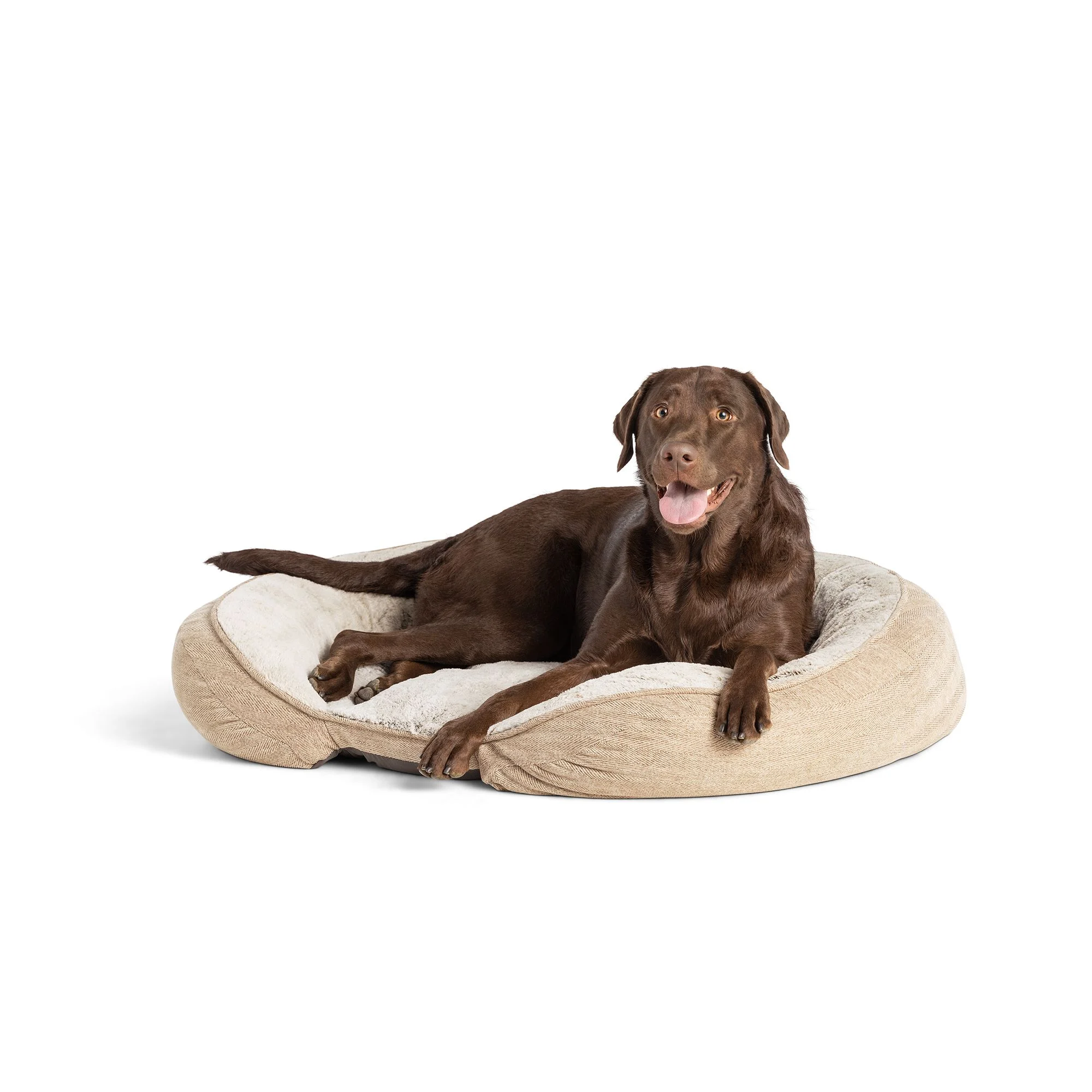 img_1761378648542_491_rDpjtia8D.webp Top Paw® Orthopedic Premium Support Oval Lounger Dog Bed - Image 1