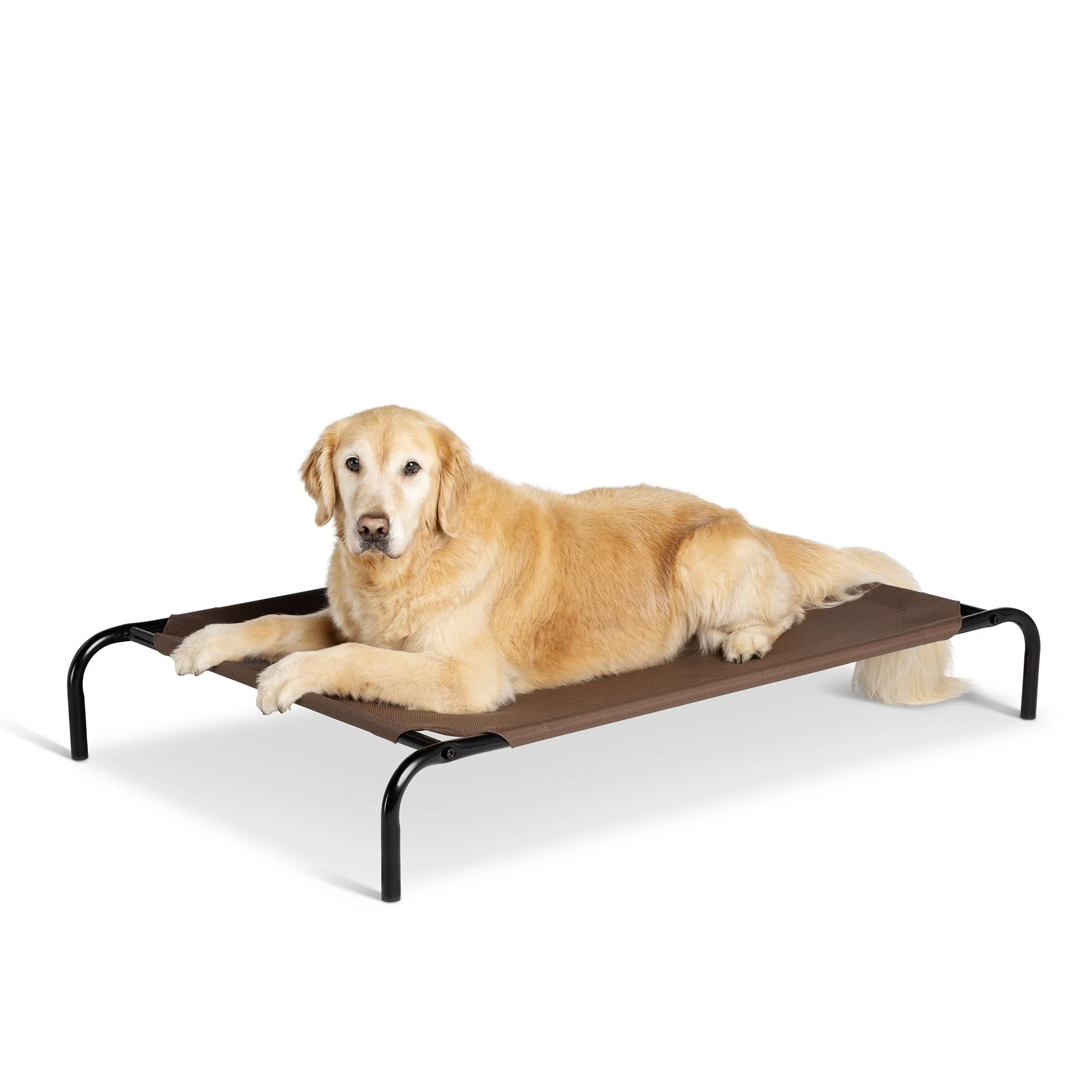 img_1761378706171_218_7Qosakpek.webp Top Paw® Indoor/Outdoor Elevated Dog Bed - Image 1