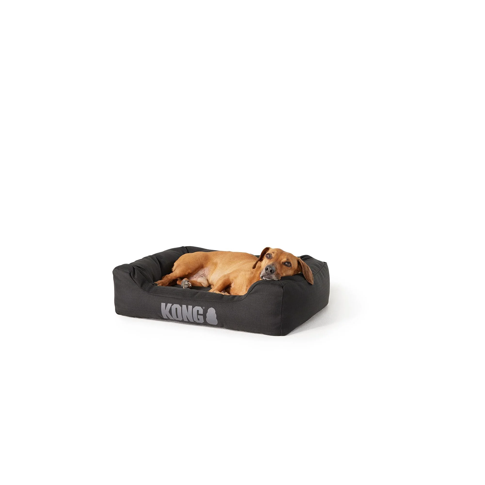 img_1761378712583_82_6I3Sv-6l1.webp KONG® 4-Sided Cuddler Dog Bed - Image 1