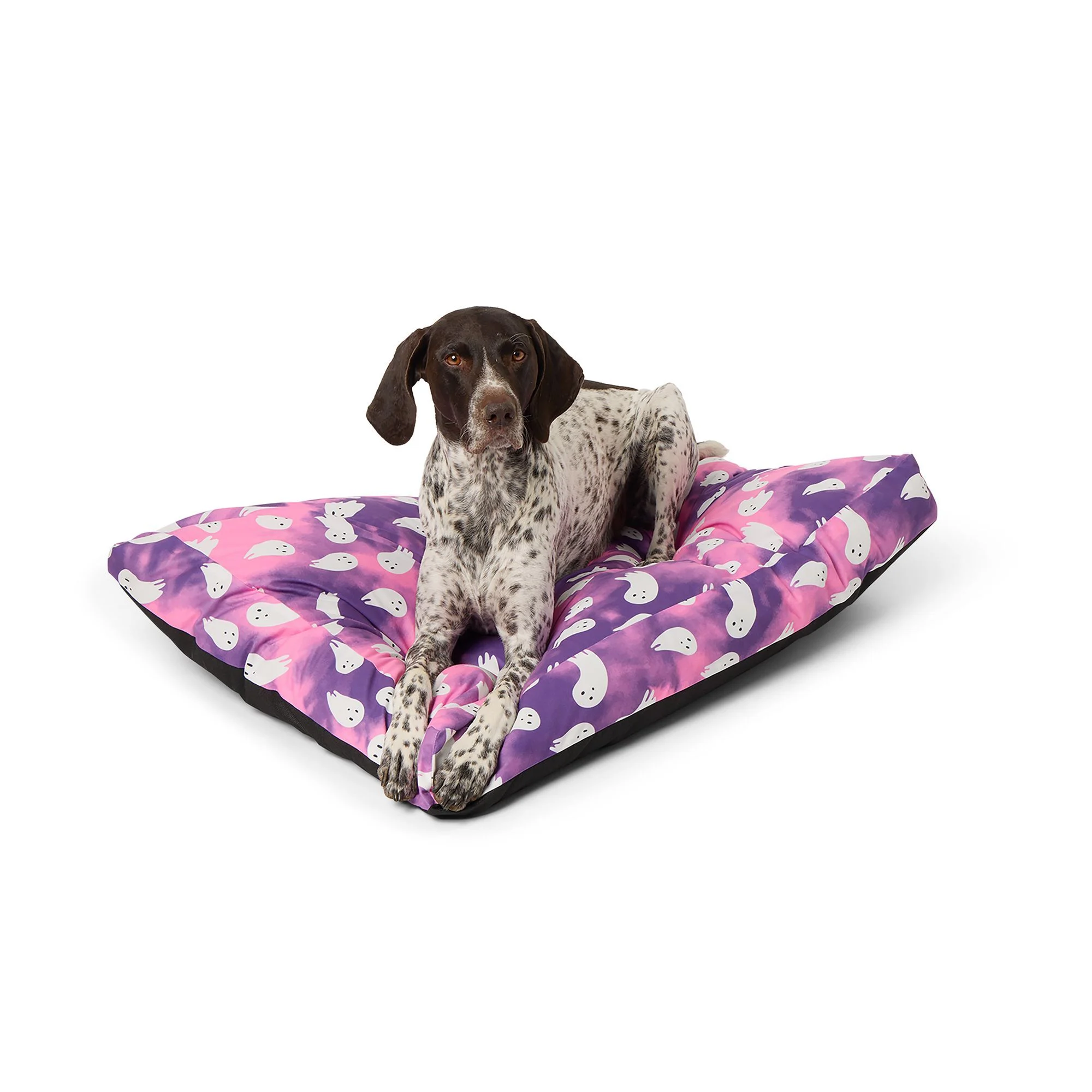 img_1761378739591_5_pFG-J_6G1.webp Thrills & Chills® Ghost Gusset-Style Pillow Dog Bed - Image 1