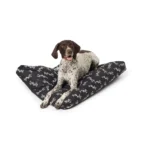 Thrills & Chills® Spooky Gusset-Style Pillow Dog Bed
