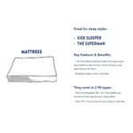 Top Paw® Orthopedic Memory Foam Quilt Mattress Dog Bed - Image 5