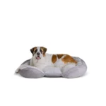 Top Paw® Orthopedic Lounger Dog Bed