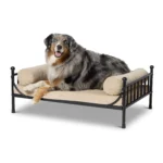 Top Paw® Elevated Dog Bed