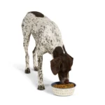 Top Paw® Novelty Dog Faces Stainless Steel Dog Bowl - Image 6