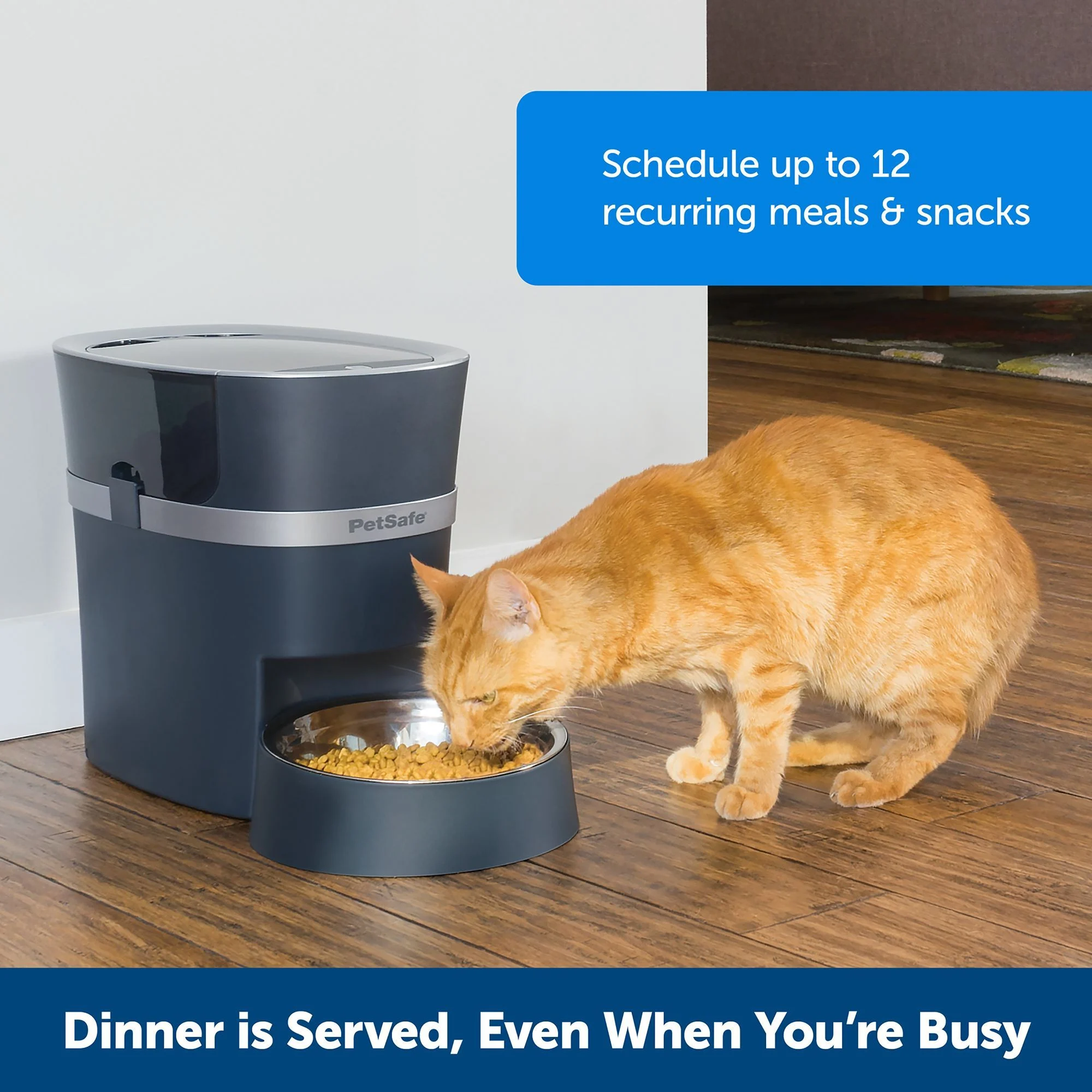 img_1761380239497_926_CH-jEdwRC9.webp PetSafe® Smart Feed WIFI Enabled Automatic Pet Feeder - Image 1