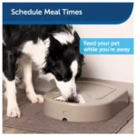 PetSafe® 5 Meal Pet Food Dispenser - Dry or Semi-Moist Pet Food - Image 2