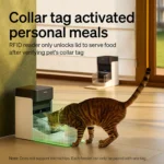 PETLIBRO One RFID Pet Feeder Bundle - Image 4