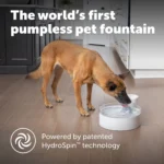 PetSafe® Outlast Pumpless Water Fountain 128 oz - Dishwasher Safe - Water Filter Included - Image 2