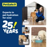 PetSafe® Outlast Pumpless Water Fountain 128 oz - Dishwasher Safe - Water Filter Included - Image 7