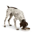 Top Paw® Stainless Steel Slow Feeder Dog Bowl - Image 6