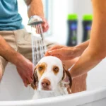 FURminator® deShedding Ultra Premium Dog Shampoo - Image 4