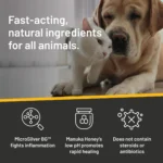 Silver Honey Rapid Ear Care for Dog and Cat 4 oz - Image 6