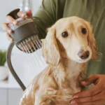 Oxygenics, PawSpa, SuperWashPro 3 Setting Pet Washer - Image 4
