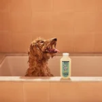 Mrs. Meyer's Clean Day 3 in 1 Dog Shampoo - Sweet Chamomile, 14 oz - Image 8
