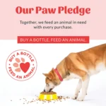 Skout's Honor® Happy Puppy 2in1 Shampoo & Conditioner - Image 10