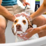 FURminator® deShedding Ultra Premium Dog Conditioner - Image 4