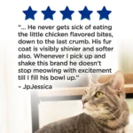 Purina® Cat Chow® Complete All Life Stages Cat Dry Food - Chicken - Image 7