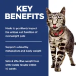 Hill's® Science Diet® Perfect Weight Adult Dry Cat Food - Chicken - Image 5