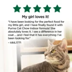 Purina® Cat Chow® Indoor Adult Cat Dry Food - Chicken, Hairball & Healthy Weight - Image 7