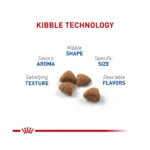 Royal Canin Feline Health Indoor Adult Dry Cat Food Nutrition - Image 3