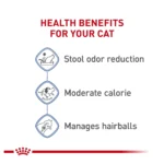 Royal Canin Feline Health Indoor Adult Dry Cat Food Nutrition - Image 4