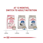 Royal Canin Feline Health Indoor Adult Dry Cat Food Nutrition - Image 6