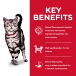 Hill's® Science Diet® Indoor Adult Dry Cat Food - Chicken - Image 5