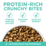 Purina® ONE® +Plus Sensitive Skin & Sensitive Stomach Adult Cat Dry Food - Turkey - Image 3