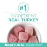 Purina® ONE® +Plus Sensitive Skin & Sensitive Stomach Adult Cat Dry Food - Turkey - Image 4