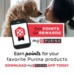 Purina® Cat Chow® Naturals All Life Stages Cat Dry Food - Chicken, Natural, No Artificial Flavors - Image 4