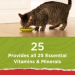 Purina® Cat Chow® Naturals All Life Stages Cat Dry Food - Chicken, Natural, No Artificial Flavors - Image 7