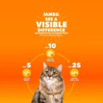 IAMS™ Proactive Health Indoor Adult Dry Cat Food - Weight & Hairball Care, Chicken - Image 2