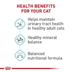 Royal Canin Feline Adult Dry Cat Food Care Nutrition, Urinary Care - Image 5