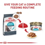 Royal Canin Feline Adult Dry Cat Food Care Nutrition, Urinary Care - Image 7