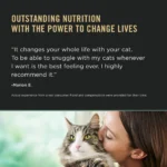 Purina Pro Plan LiveClear Allergen Reducing Adult Dry Cat Food - Chicken & Rice - Image 5