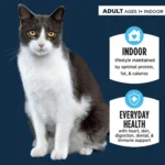 Authority® Everyday Health Indoor Cat Dry Food - Chicken & Rice, With-Grain - Image 2