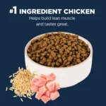 Authority® Everyday Health Indoor Cat Dry Food - Chicken & Rice, With-Grain - Image 3