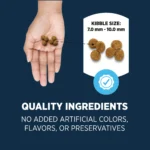 Authority® Everyday Health Indoor Cat Dry Food - Chicken & Rice, With-Grain - Image 4