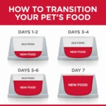 Hill's® Science Diet® Adult Dry Cat Food - Chicken - Image 5