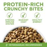 Purina ONE® +Plus Indoor Advantage Adult Cat Dry Food - Turkey, Natural, High-Protein - Image 3
